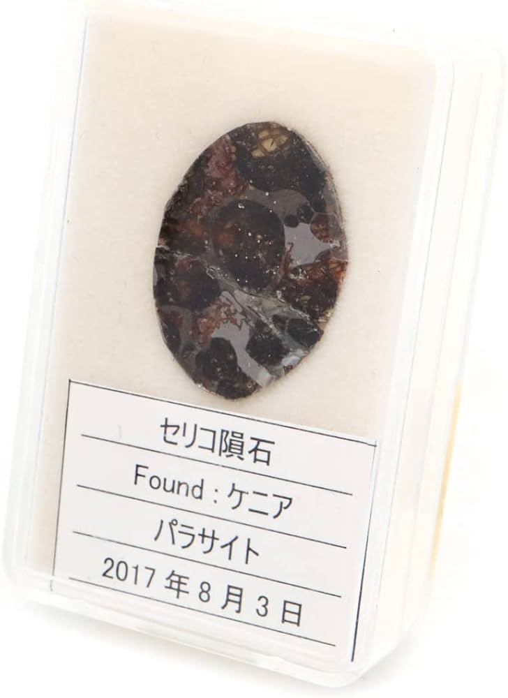 [GOLD STONE] パラサイト隕石 ケニア セリコ産 重量1.0g 隕石標本 パワーストーン 1点物 石鉄隕石 No.15